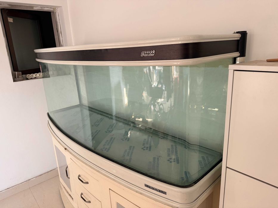 acvariu 480 L, sticla curbata