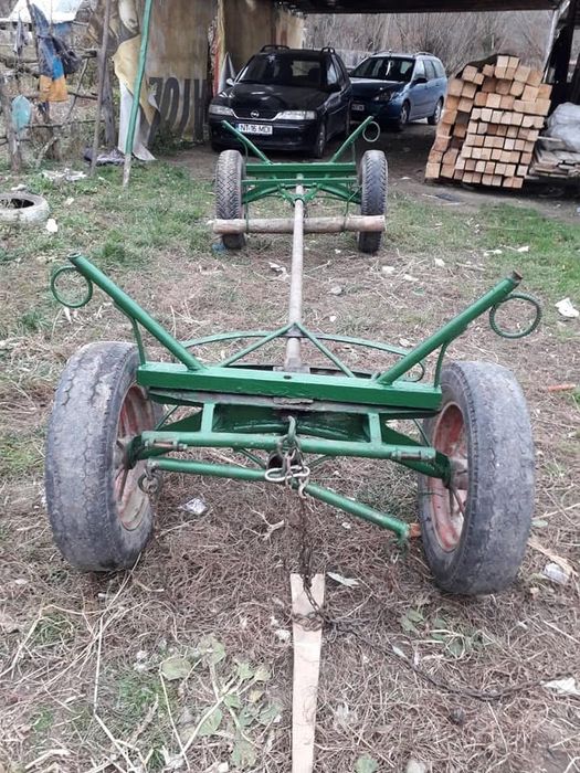 Vand mănză de 2 ani