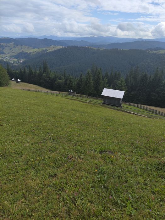 Teren de vanzare 1 ha – Perivata, Argel, com. Moldovița, Suceava