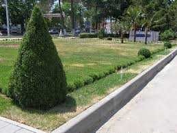 Trotuar Bardyur|Bardyor|Бордюр|Бардюррр