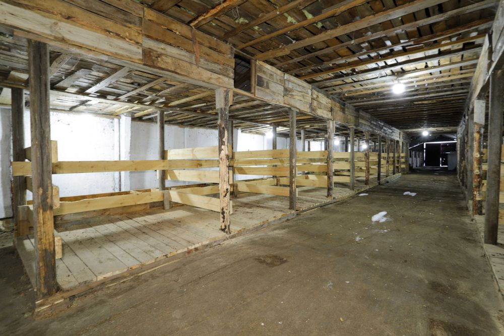 Продажа здания в поселке Новоселовка