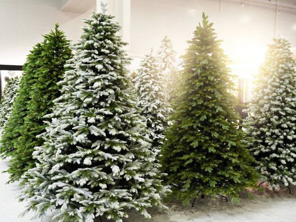 Новогодние ёлки с первых рук