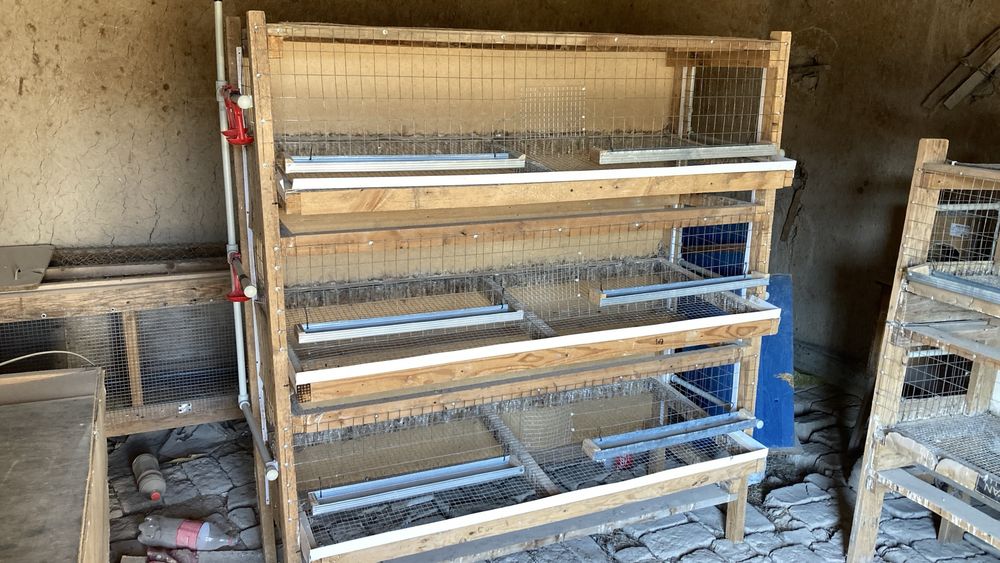 Бодене Клеткасы.     .