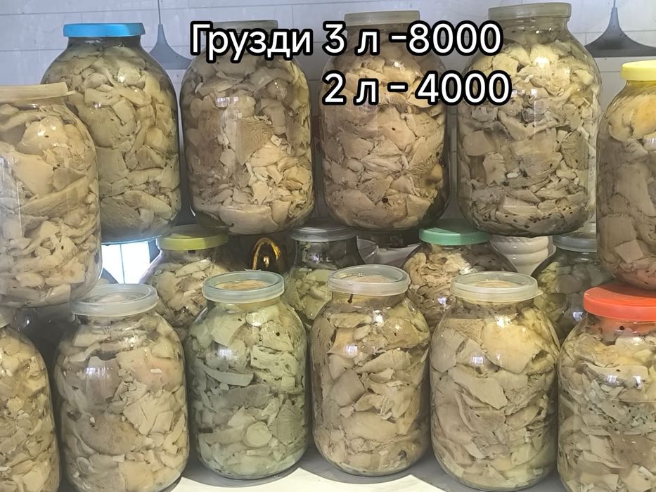 Продам грибы грузди