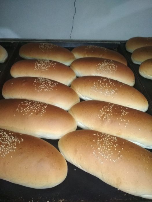Xoddog gamburger nonlari..