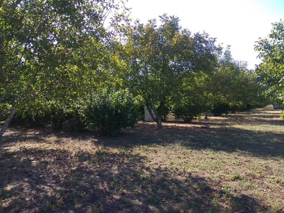 Продава се Земеделски имот в Шумен, Център -  кв.м за 3060 €/дка - Снимка #18