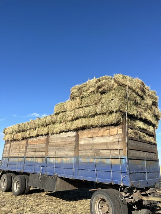 продам сено в тюках