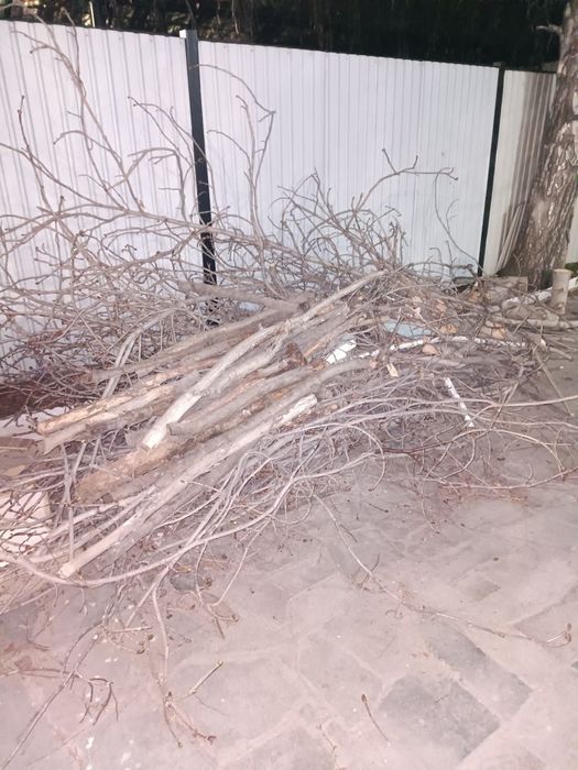 Дрова даром. Отын тегін