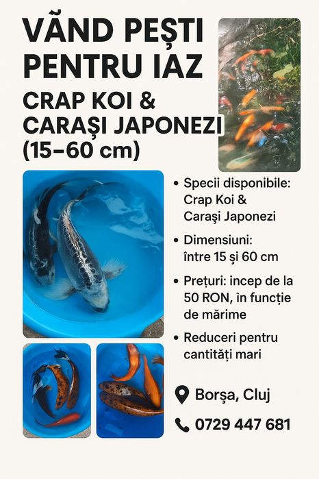 Krap koi,carasi japonezi