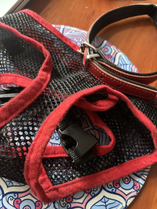 Ошейник, шлейка доя собак