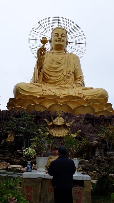 Электрическая бритва VT 8267BN