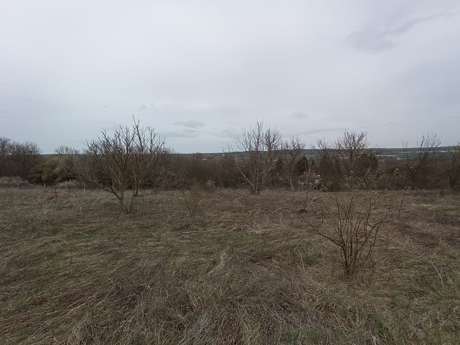 Парцел в с. Шемшево