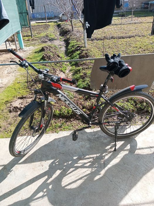 Velik sotiladi holati yaxshi