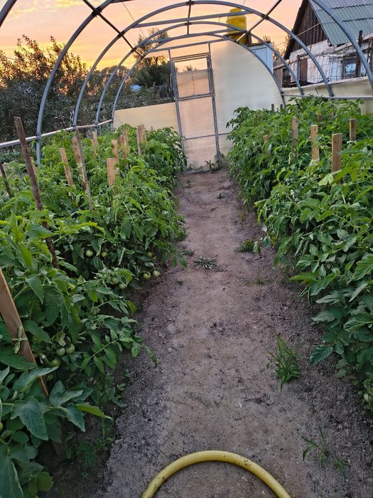 Продам дачу на Солнечной долине