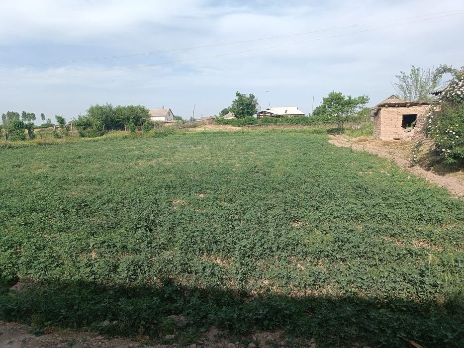 Бука тумани Самарканд МФЙ ДАВЛАТОВУЛ кишлогида 60 сотих уй-ховли сотил