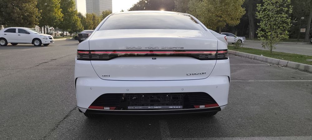 BYD Chazor flagship 120 full Позиция.