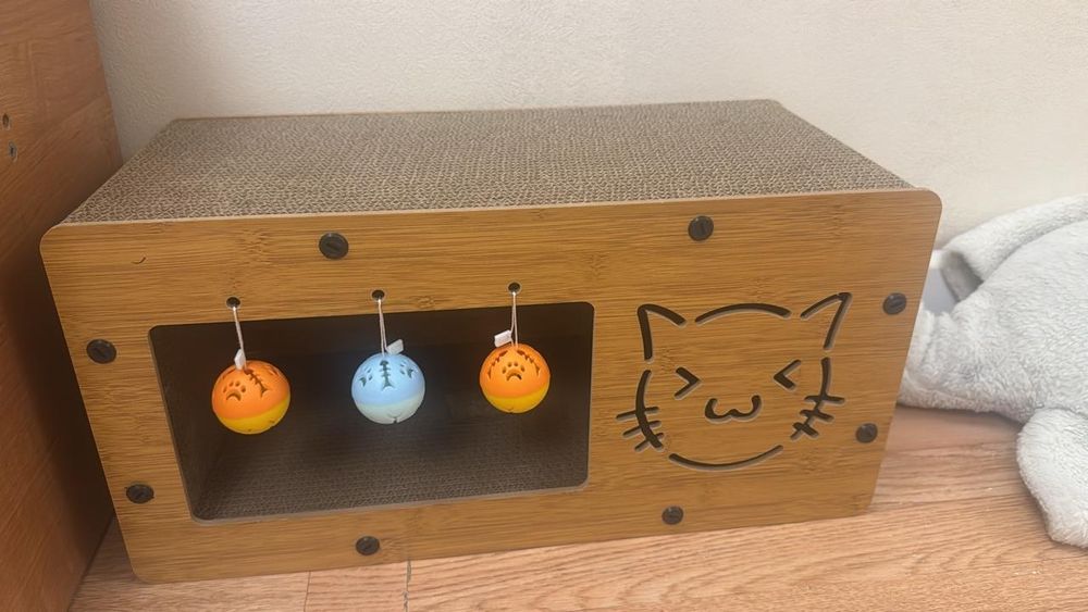 Жақсы бағатын семьялар болса