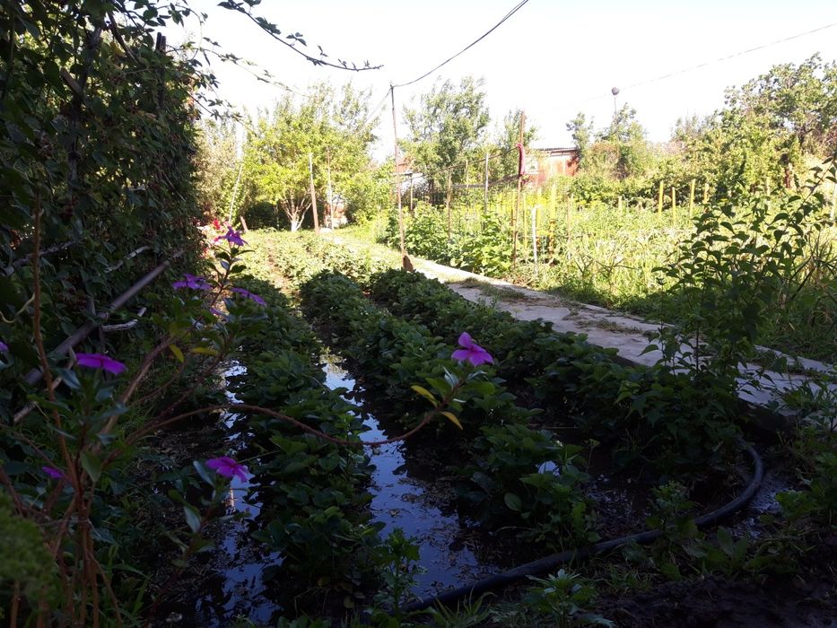 Продам жилую дачу