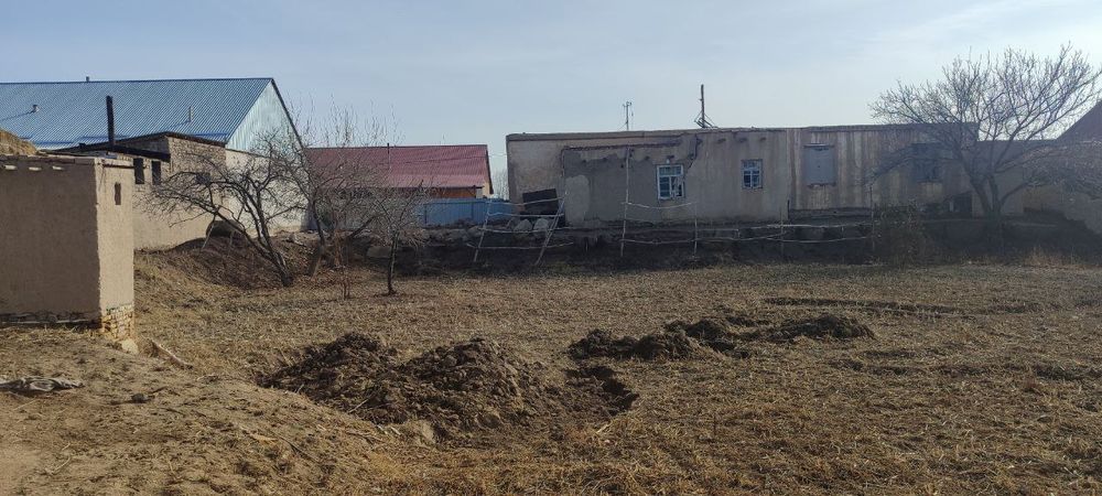 Хива тумани дашяк махалласи. Олдинги бустон