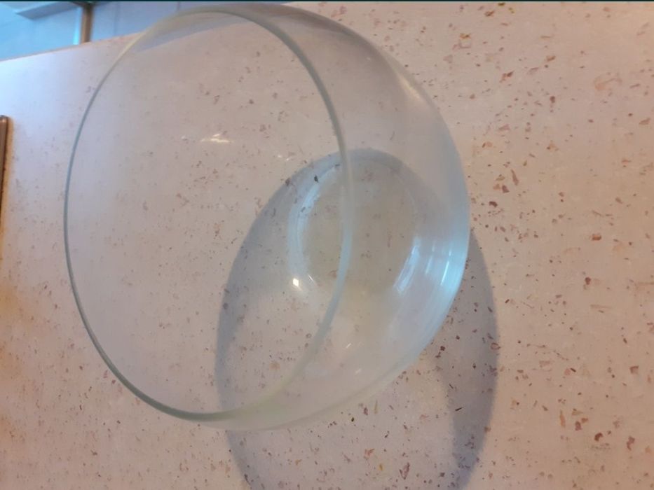 Acvariu peste beta bol 1.5l 1.5litri bol sticla decoratiuni