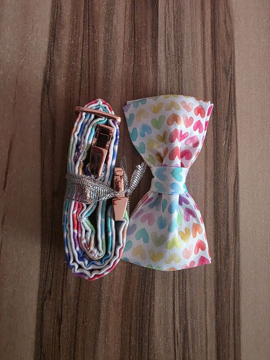 Set de lesa si papion pentru animale