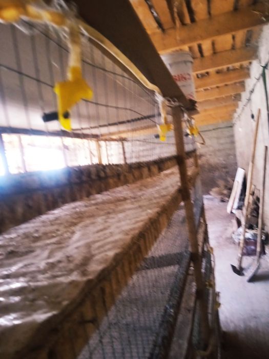 Клетка для перепел срочно продается по скидке