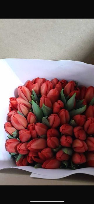 ТЮЛЬПАНЫ Оптом и в розницу