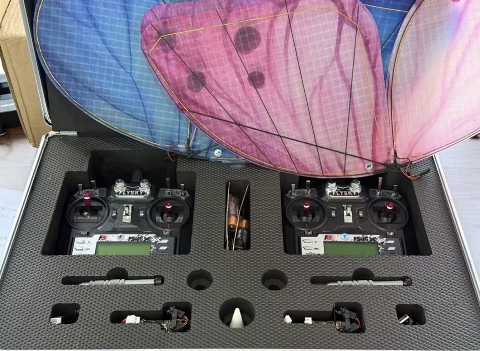 Kapalak kapalakli dron