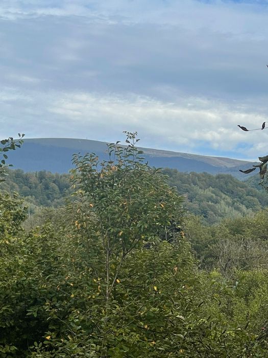 Vand teren Borlova-Muntele Mic-cu Proiect de Cabana