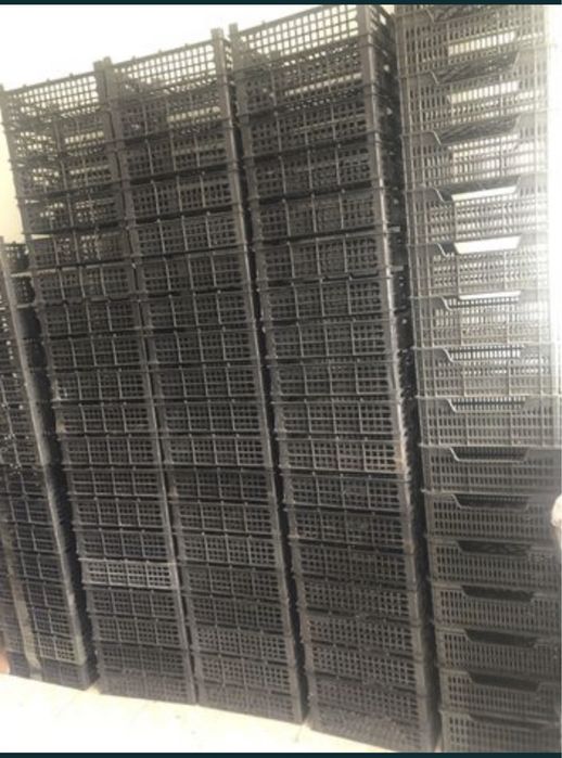 Продам пустые пластиковые ящики