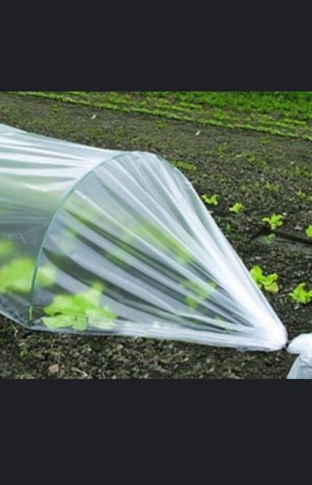 Salafan, paket, qulupnay, qovun, tarvuz, parnik uchun