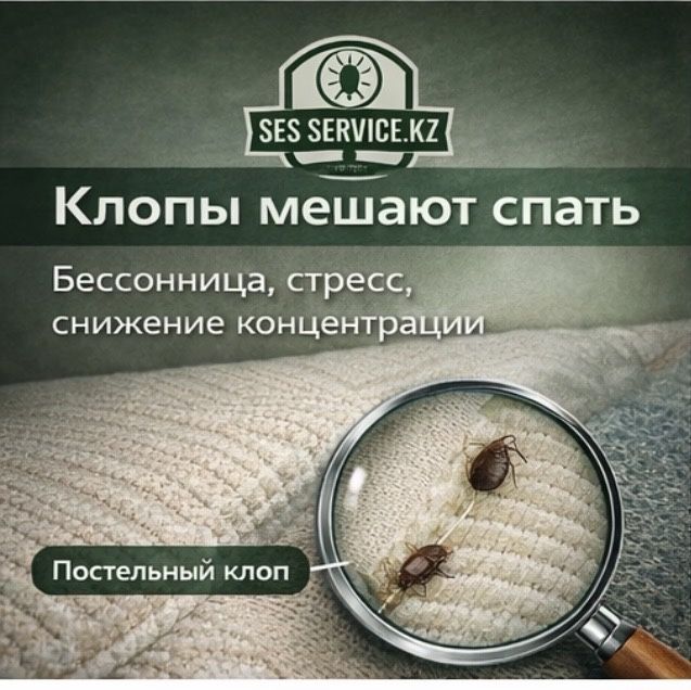 СЭС СЕРВИС | Дезинсекция | Гарантия уничтожения тараканов, клопов