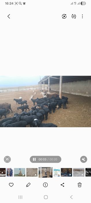 Фазенда сатылады