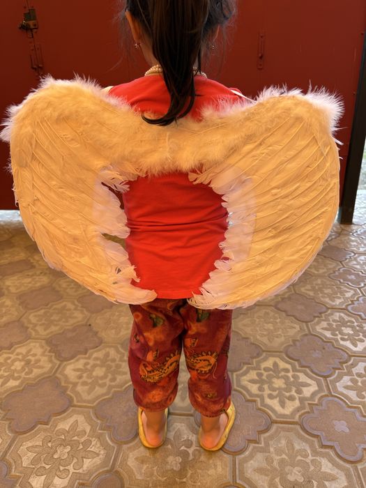 Продам крылья ангела