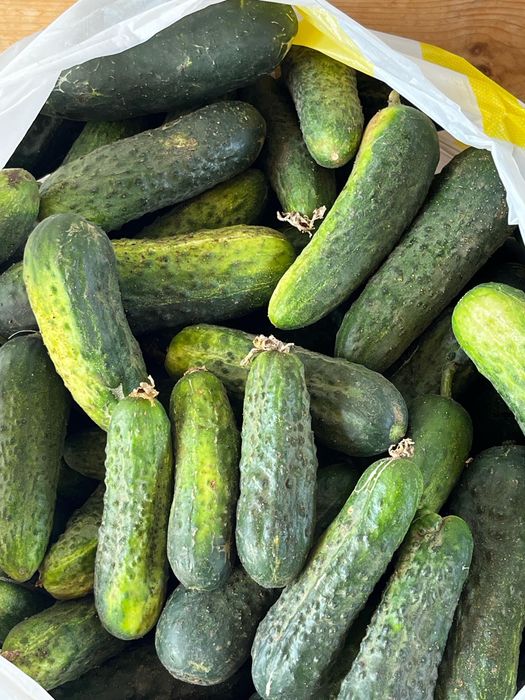 Продам хрустящие огурчики местные ( г. Актобе).