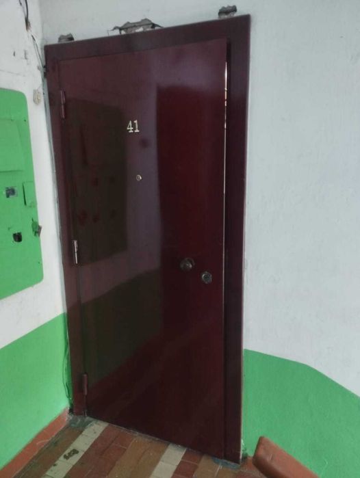 Металлическая дверь Brazer 210x90 см