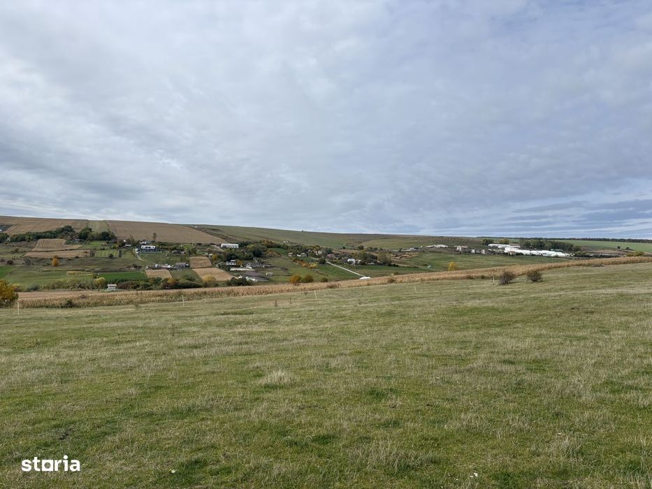 Teren Dealul Fanatelor