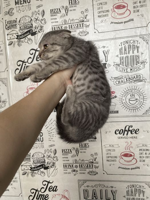 Обмен на спальный гарнитур