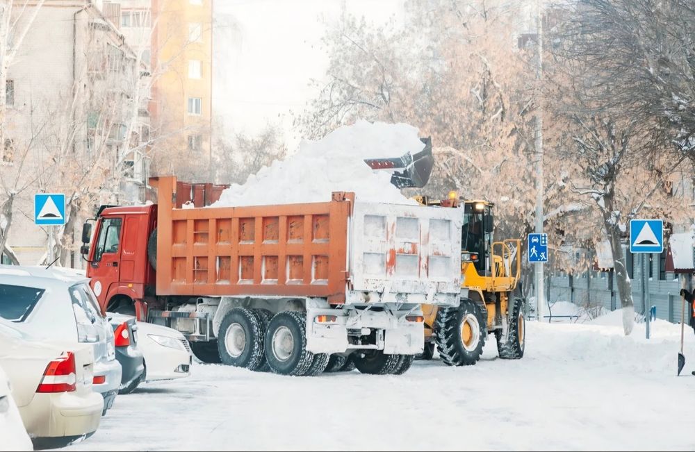 Вывоз снега Очистка територий