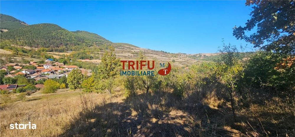 Teren Intravilan De Vanzare Ampoita !