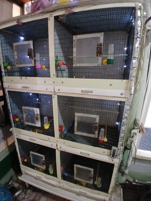 КЛЕТКА ВАЛЕР для птиц куш