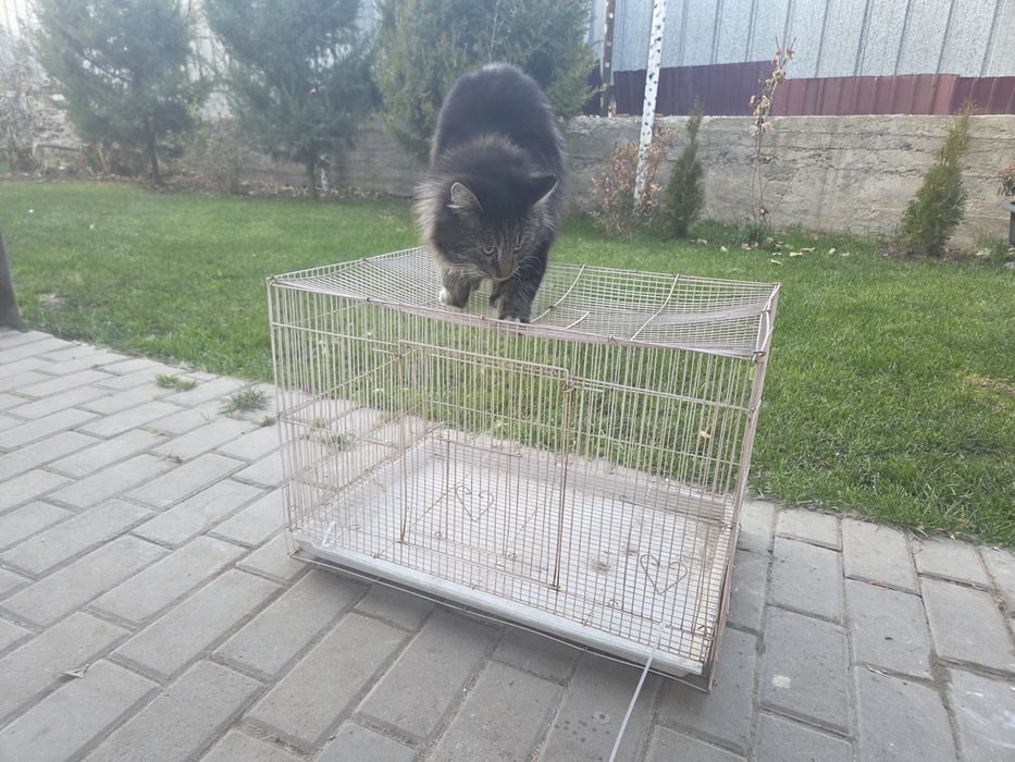 Продам клетку для крыс