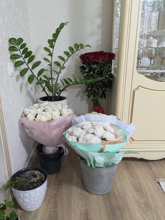 Продаются цветы разные