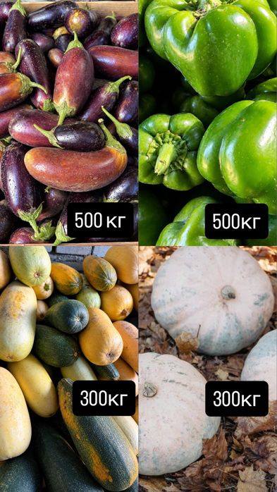Продам овощи домашние