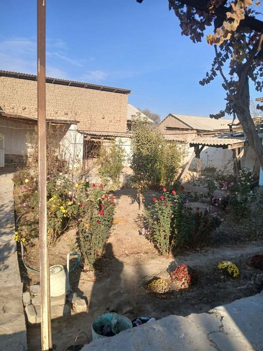 Октош. Зебиносо куча 11 уй. 59 мактаб. РУВД.