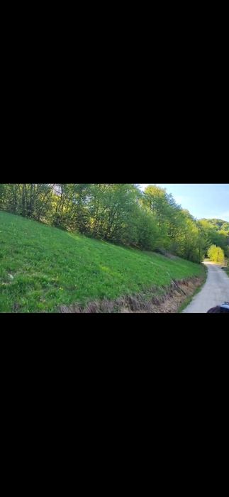 Teren intravilan 928 mp Valea Inzelului – Râmeț | Natură, Cheile Râmeț