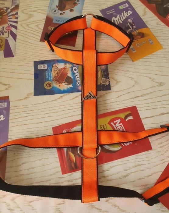 Ошейники  для собак