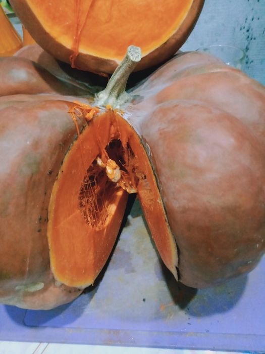 Сок из тыквы с апельсинами и лимонами.Тыквы со своего огорода.