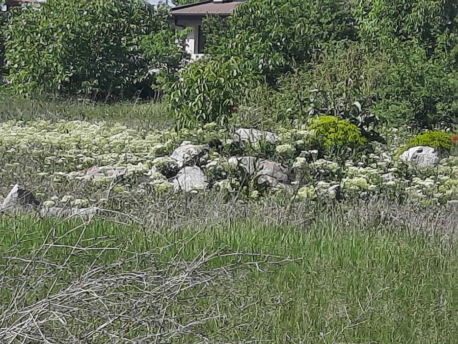 Естествен камък гранит, сиенит