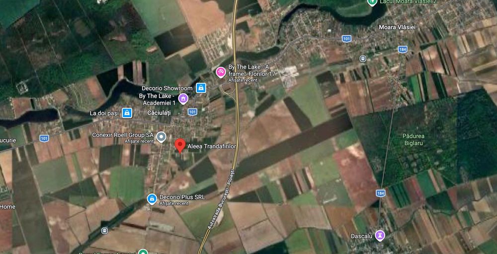Teren 1500 mp Caciulati Moara Vlasiei, cu utilități